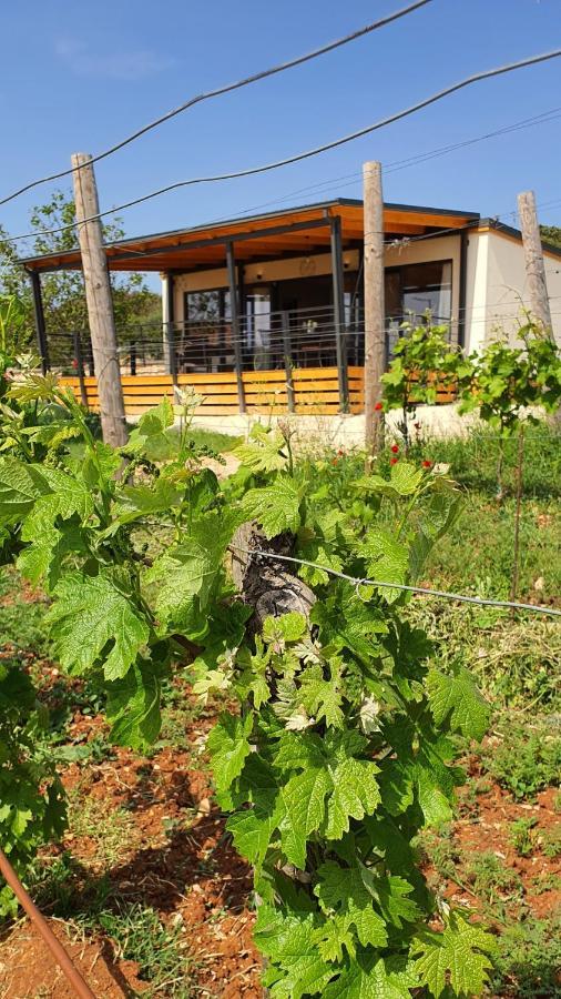 Collis Winery - Family & Friends - Mobilhome Rovinj Bagian luar foto