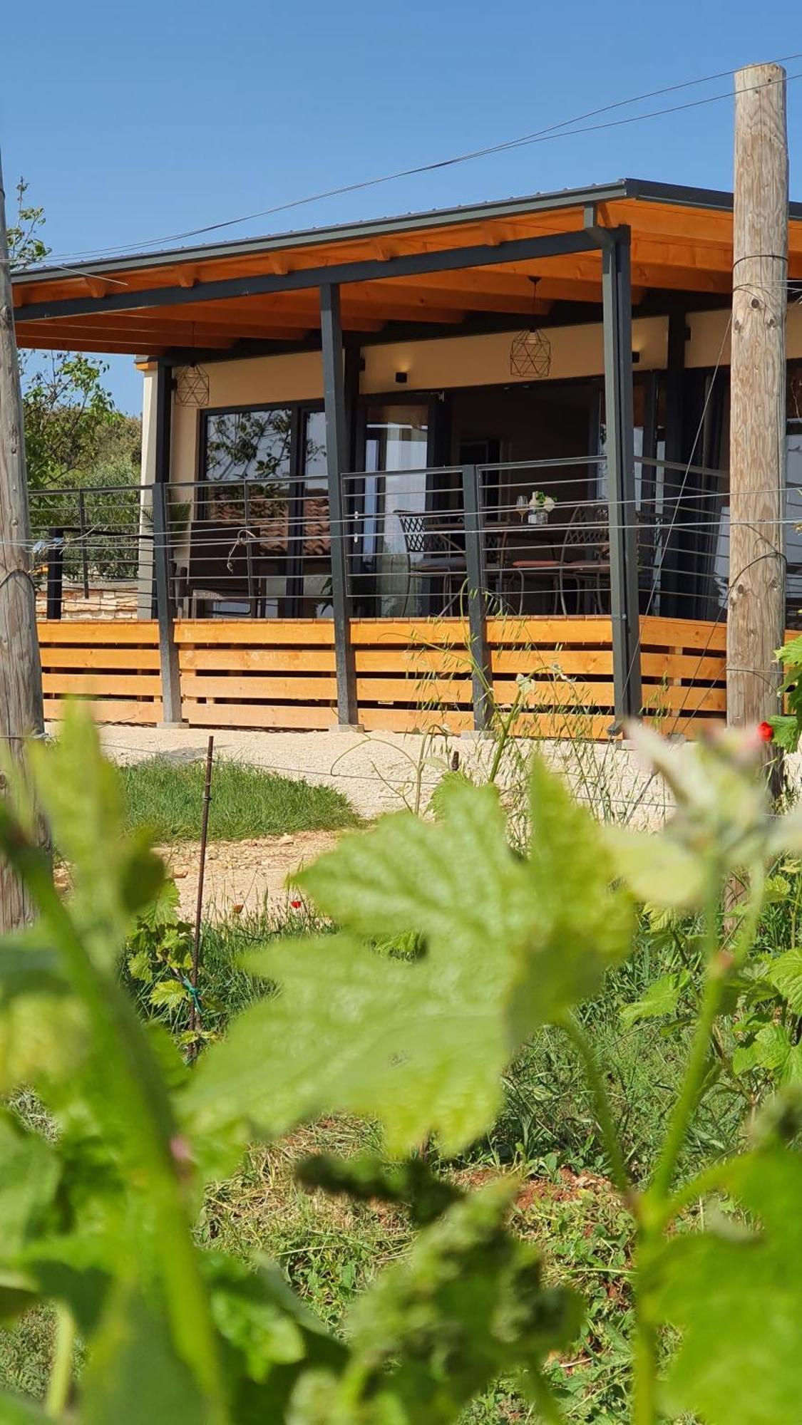 Collis Winery - Family & Friends - Mobilhome Rovinj Bagian luar foto
