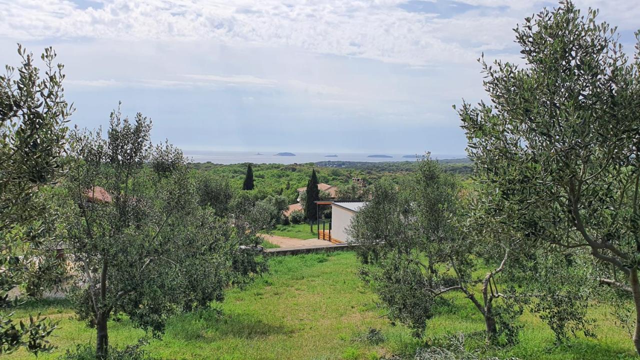 Collis Winery - Family & Friends - Mobilhome Rovinj Bagian luar foto