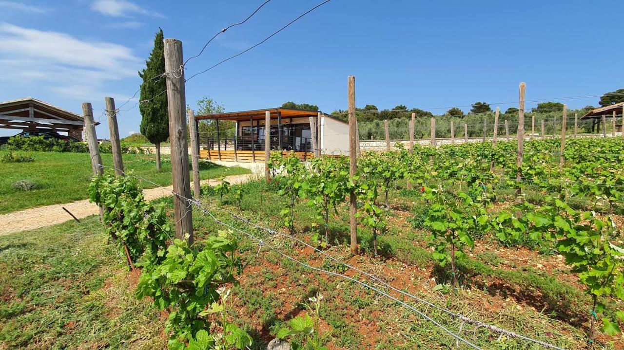 Collis Winery - Family & Friends - Mobilhome Rovinj Bagian luar foto